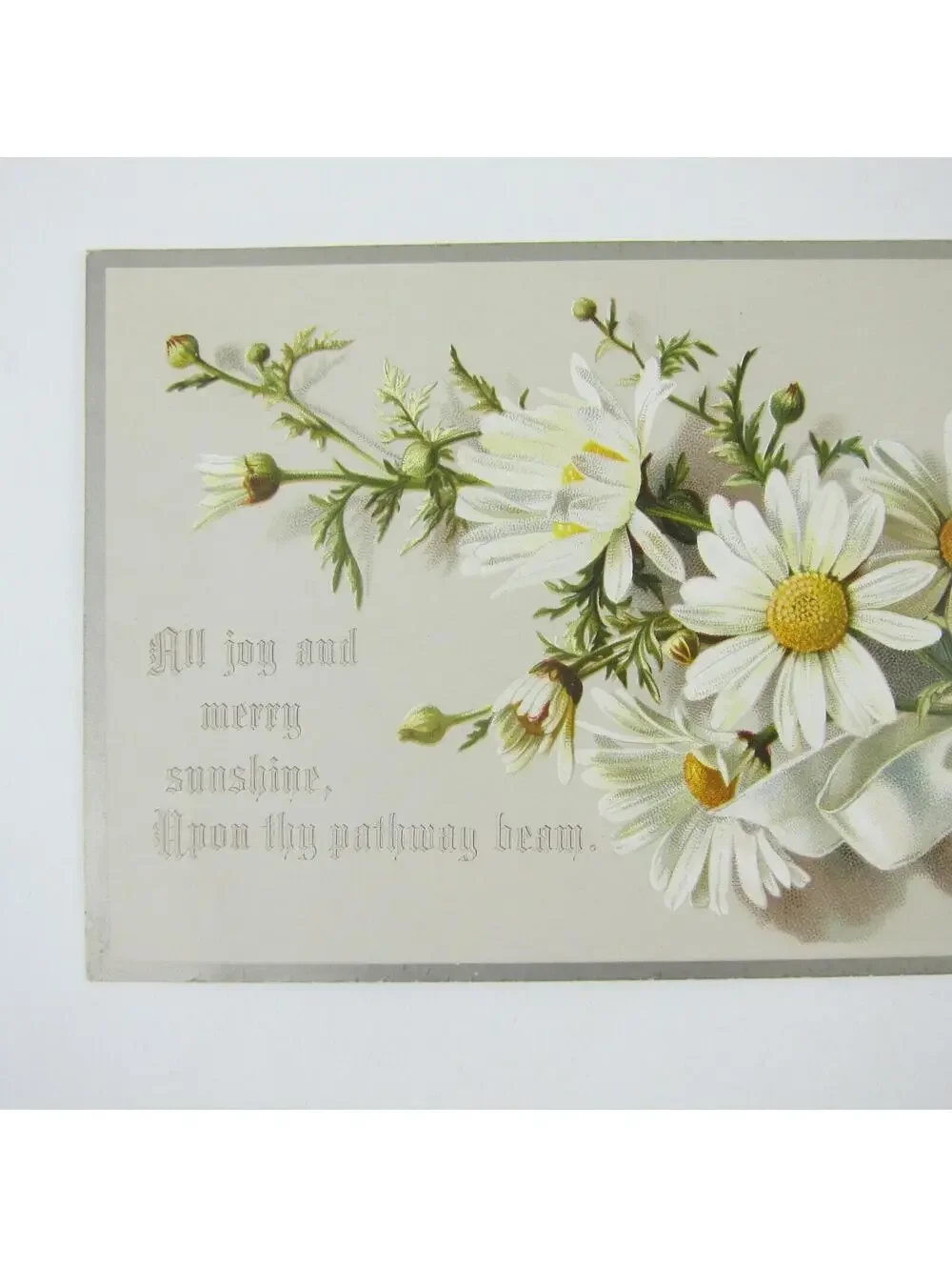 Victorian Greeting Card Daisies White & Yellow Flowers Bouquet Ribbon Antique